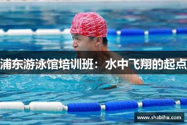浦东游泳馆培训班：水中飞翔的起点
