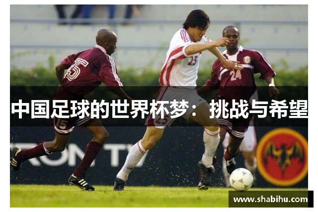 中国足球的世界杯梦：挑战与希望