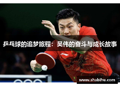乒乓球的追梦旅程：吴伟的奋斗与成长故事