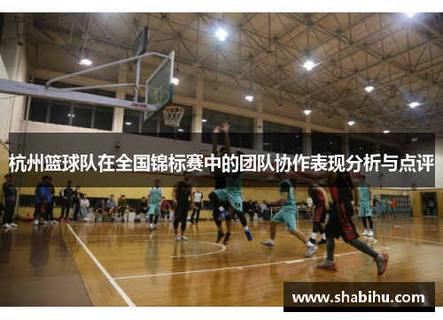 杭州篮球队在全国锦标赛中的团队协作表现分析与点评