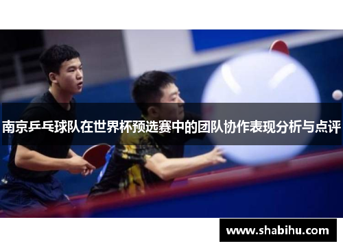 南京乒乓球队在世界杯预选赛中的团队协作表现分析与点评
