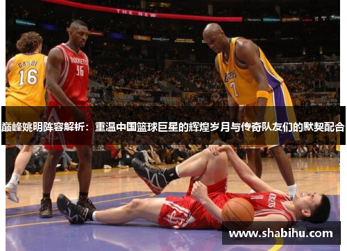 巅峰姚明阵容解析：重温中国篮球巨星的辉煌岁月与传奇队友们的默契配合