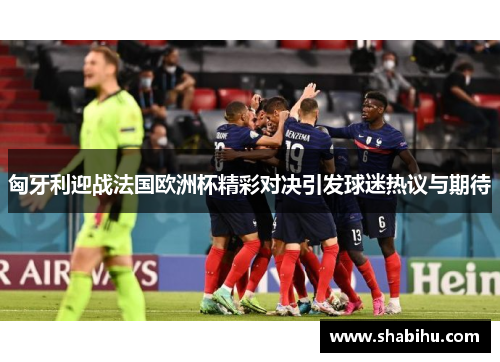 匈牙利迎战法国欧洲杯精彩对决引发球迷热议与期待